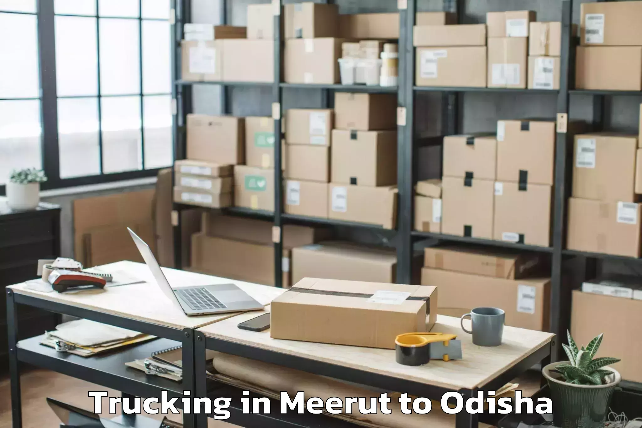 Book Meerut to Joda Trucking